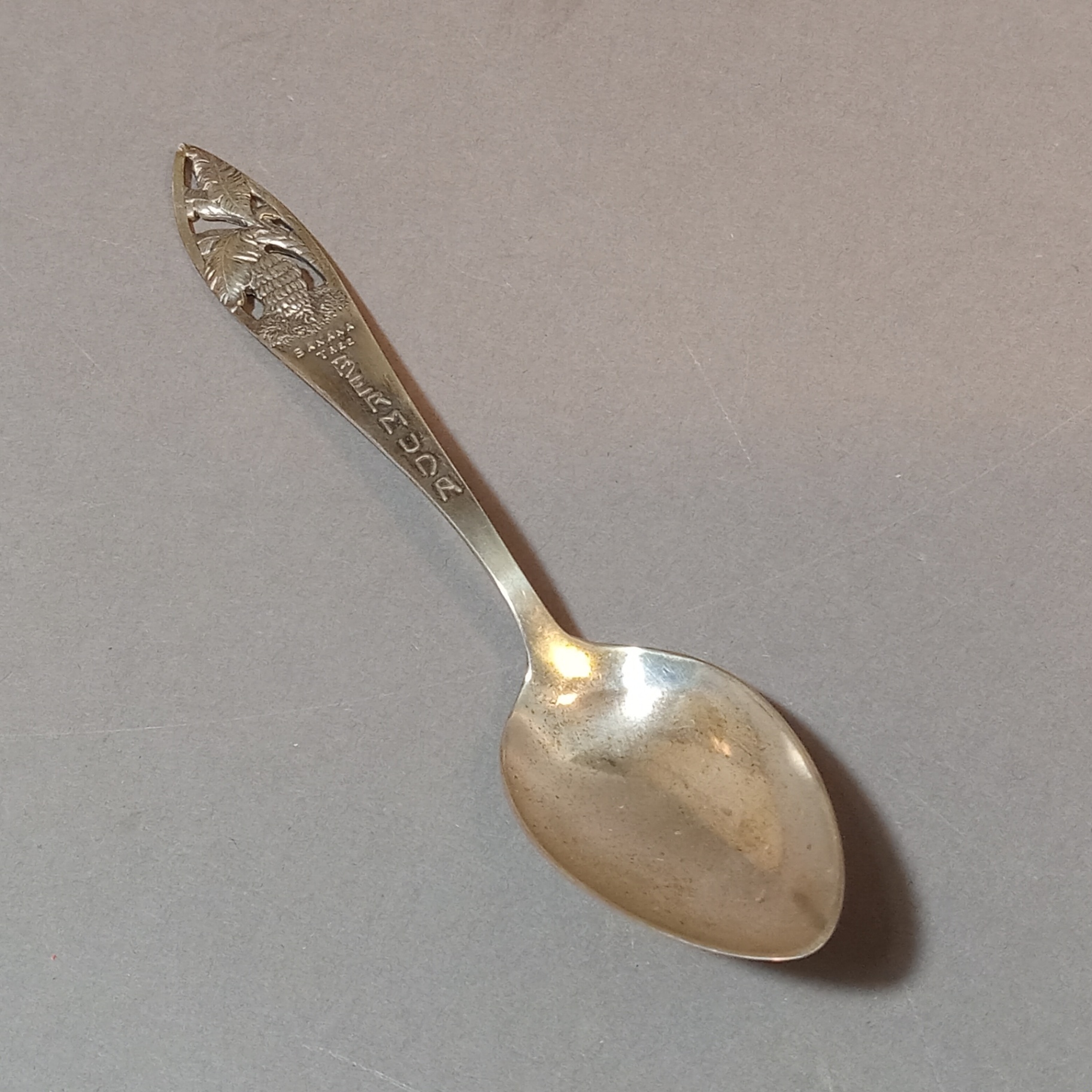 Antique Collectors Spoons - image 12 of 18