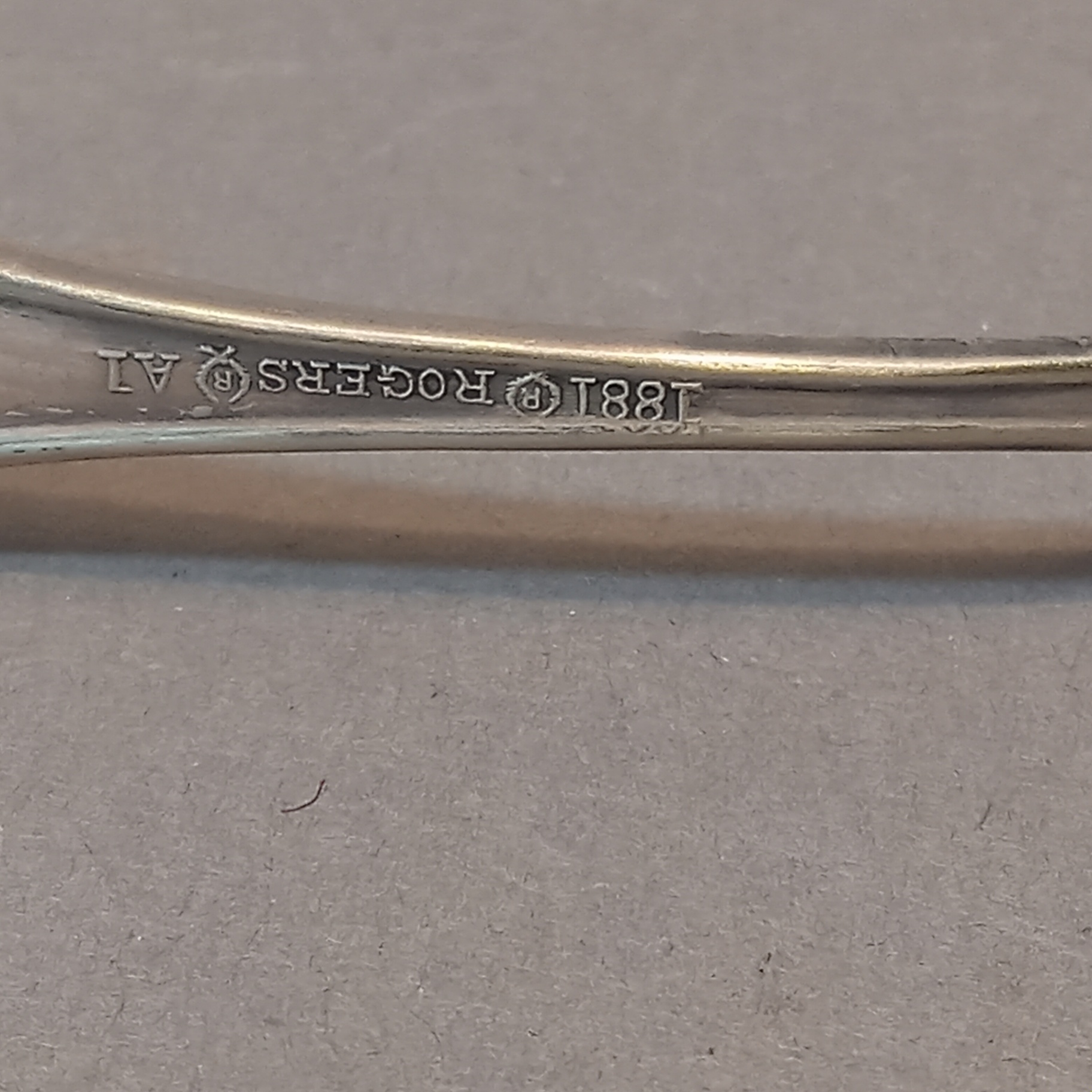 Fancy Silverplate Tableware - image 10 of 15