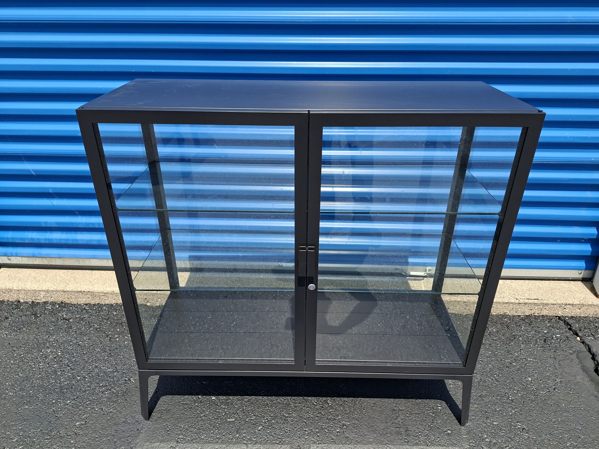 Stunning Black Metal and Glass Display Cabinet, 2 Shelves - image 1 of 5