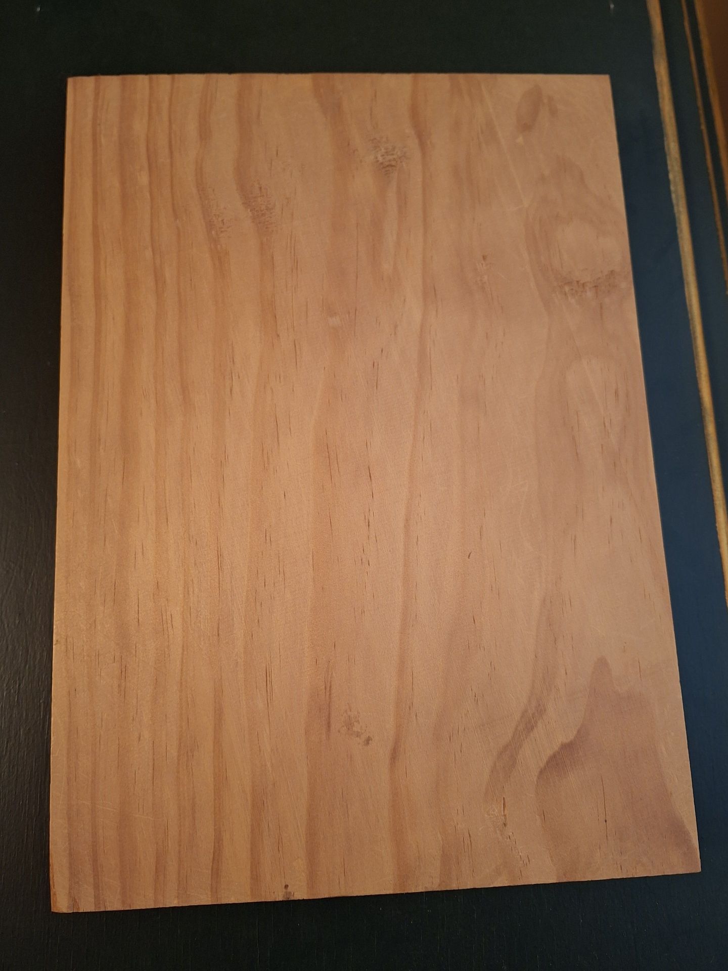 Hand-Carved Woodpecker Wall Plaque - image 6 of 6