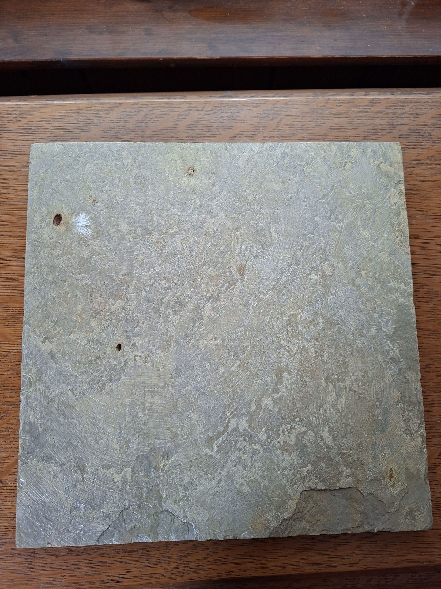 Signed Porcupine Painting on Slate, "Kris 2002" - image 5 of 5