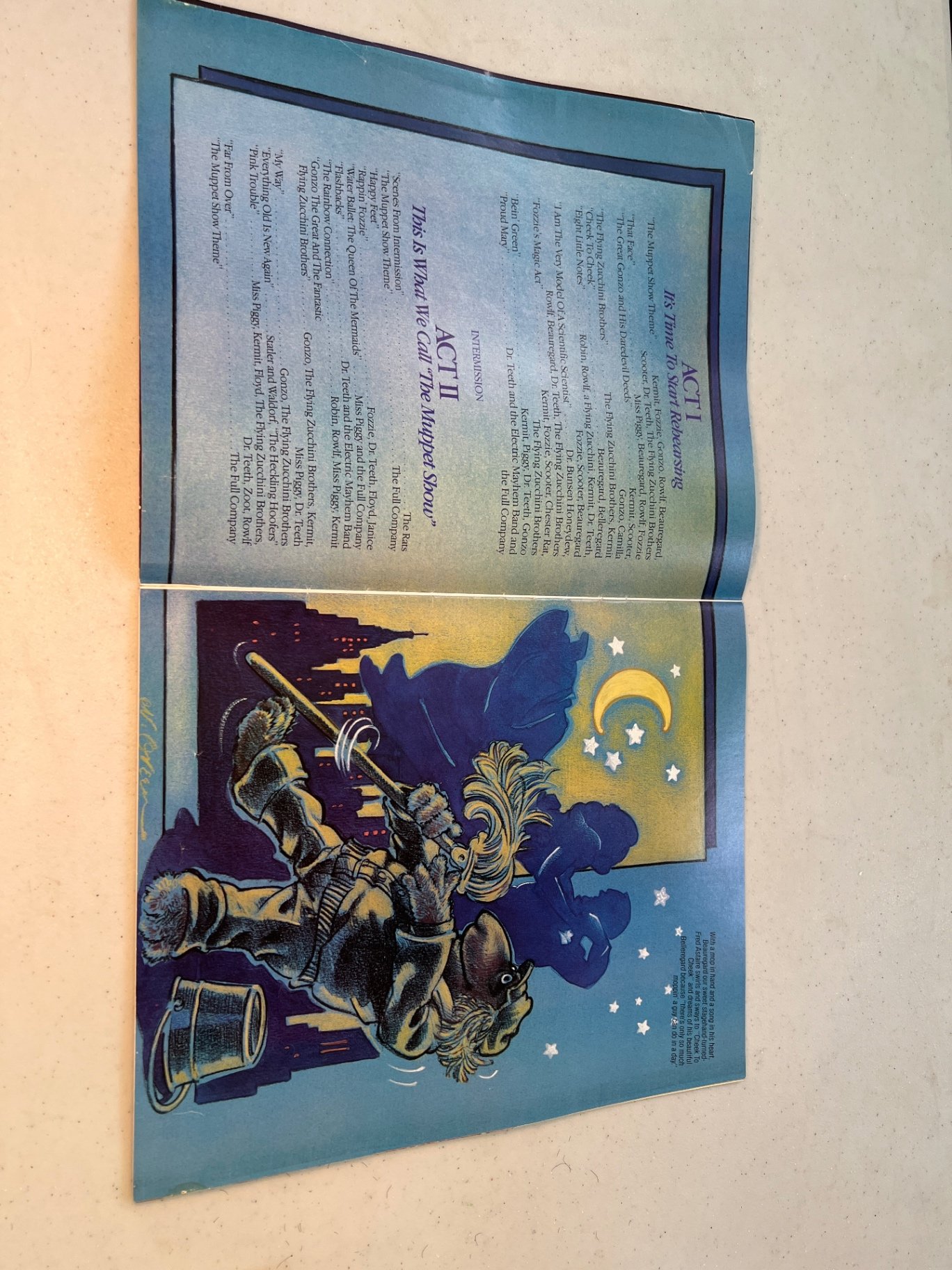 The Muppet Show On Tour program - image 5 of 10