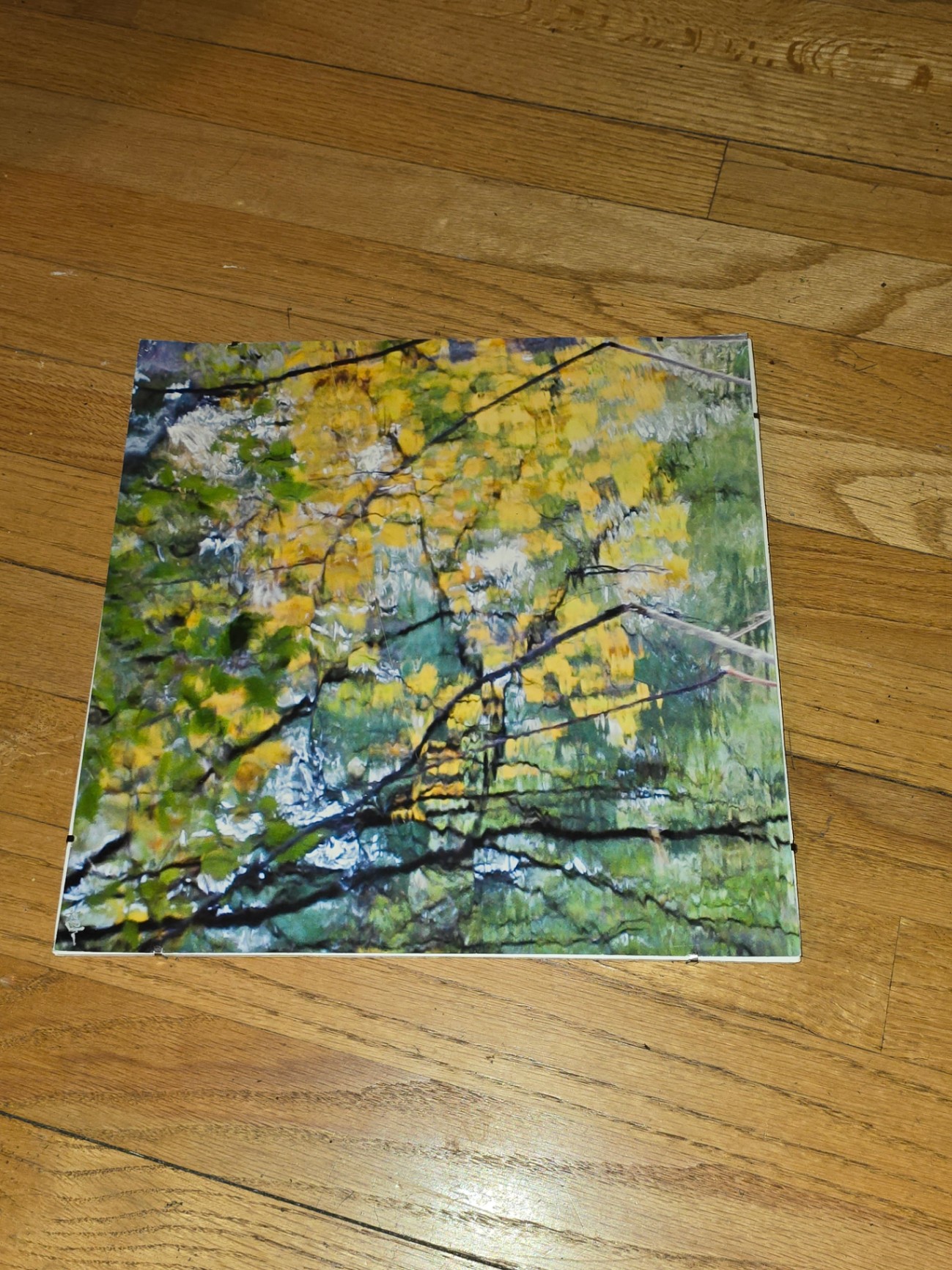 Autumn forest photograph by Ramsey Bakhoum - image 1 of 5