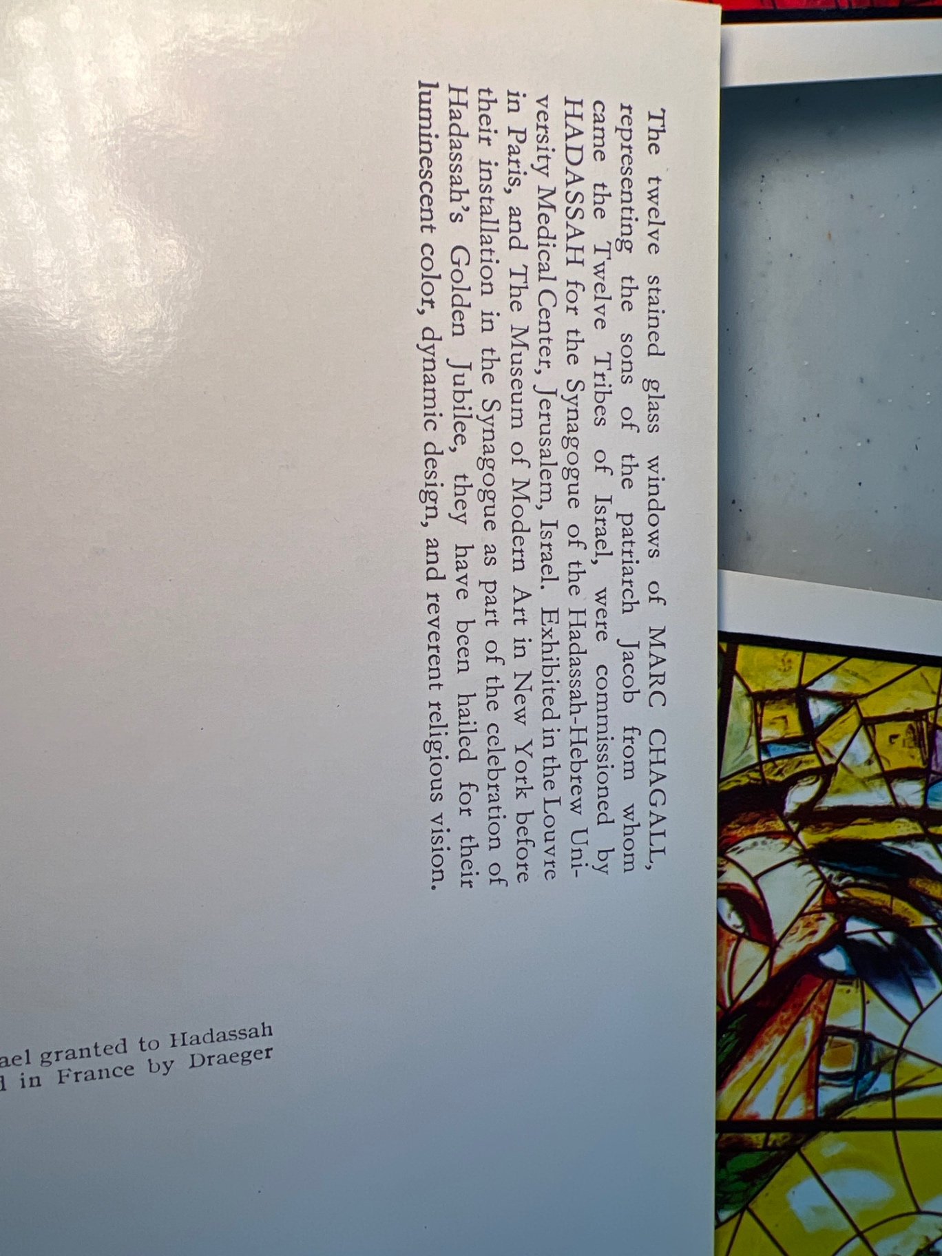 Framed Laurence Perugini botanical prints and 2 smaĺl framed prints of Chagall stained-glass windows. - image 15 of 17