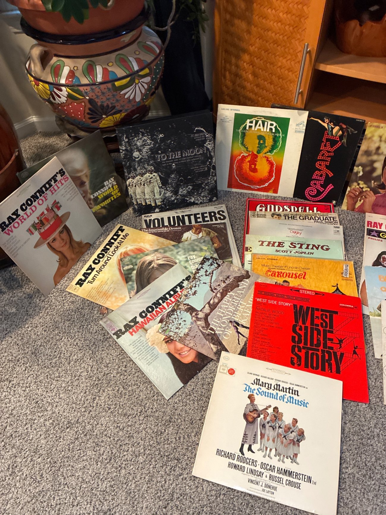 Vinyl record collection with Bruce Springsteen live box set and To the Moon records - image 3 of 7