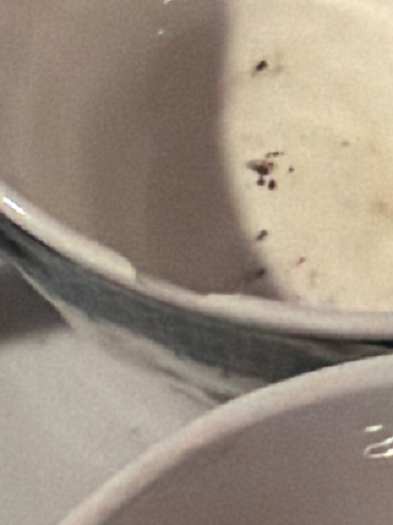 Blue and White Ceramic Dinnerware  - image 8 of 15