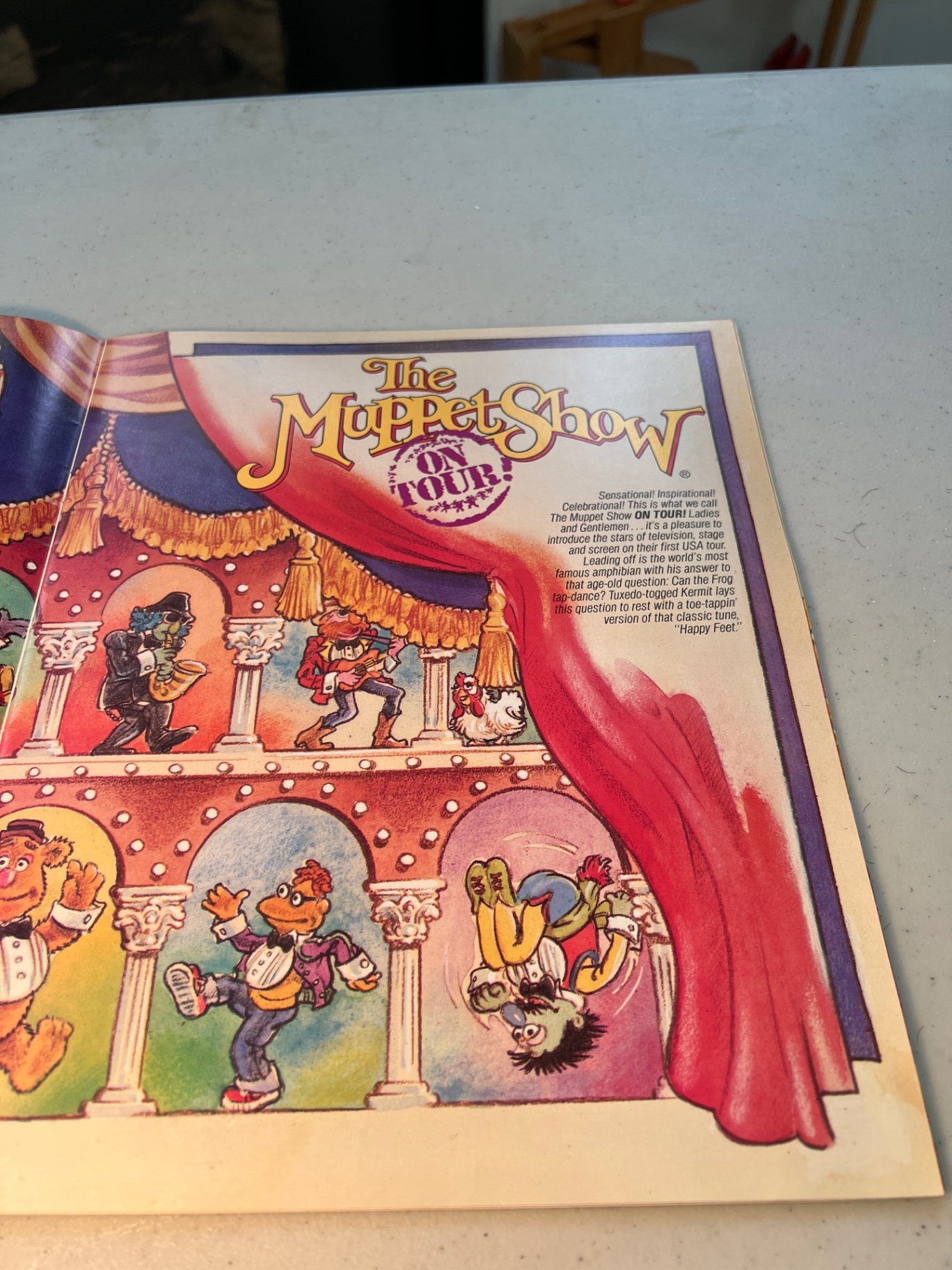 The Muppet Show On Tour program - image 8 of 10