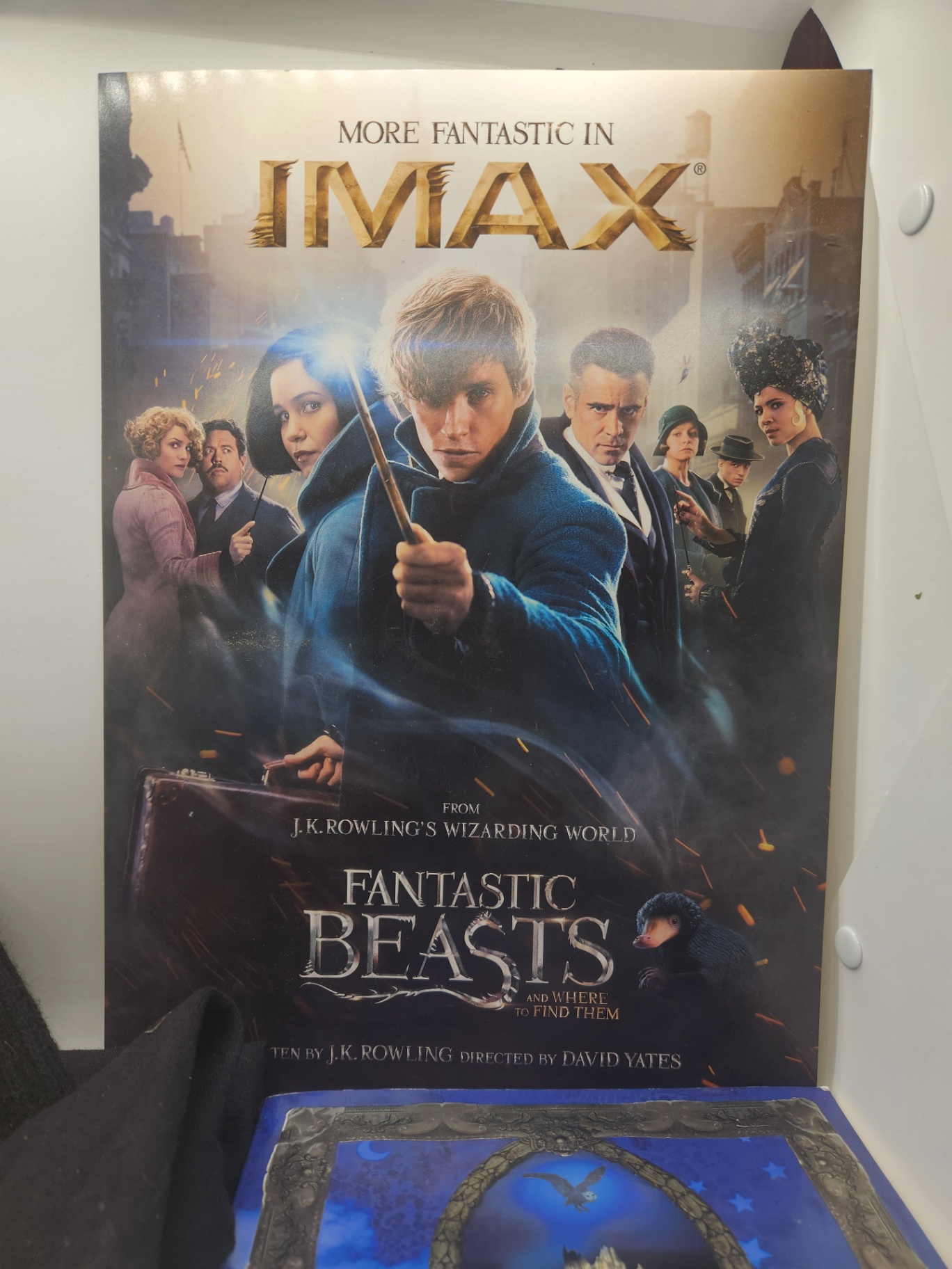 Harry Potter & Fantastic Beasts Fan Bundle - IMAX Poster, Hogwarts Hat and T-Shirt & Guide Book - image 4 of 10