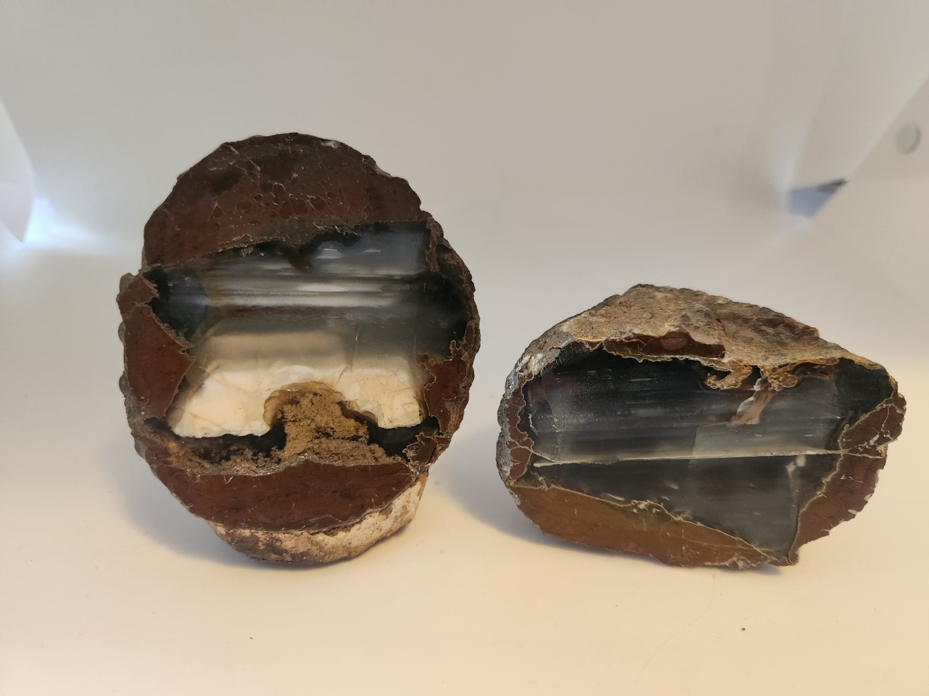 2 pieces of ThunderEgg - Oregon geodes, a nodule-like rock filled with agate formed within volcanic ash layers - image 1 of 11