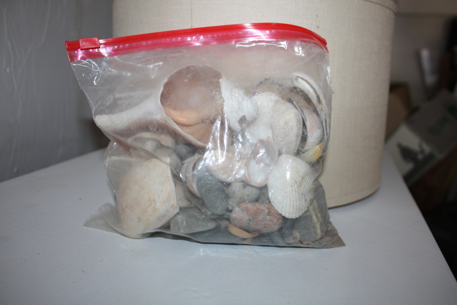 Contemporary Home Decor Trio: Modern Tray, Humor Wall Art, & Natural Ocean Shells - image 4 of 5