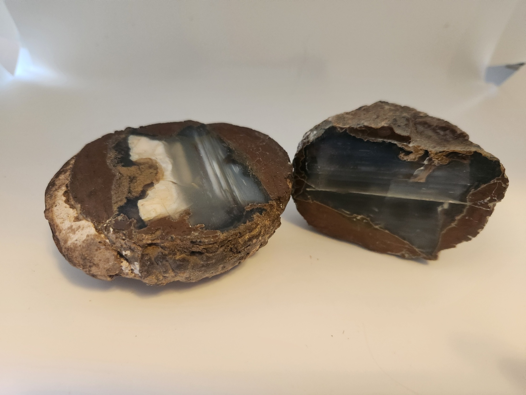 2 pieces of ThunderEgg - Oregon geodes, a nodule-like rock filled with agate formed within volcanic ash layers - image 7 of 11