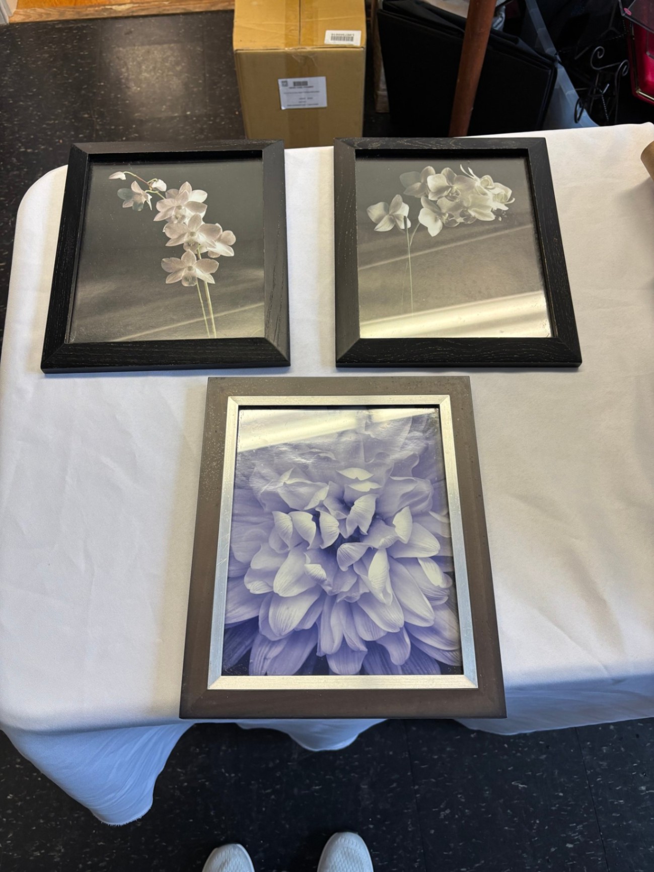 Framed Floral Art Prints – Two Orchid Photographic Prints & One Hydrangea Close-Up (Lot of 3) Description - image 1 of 5