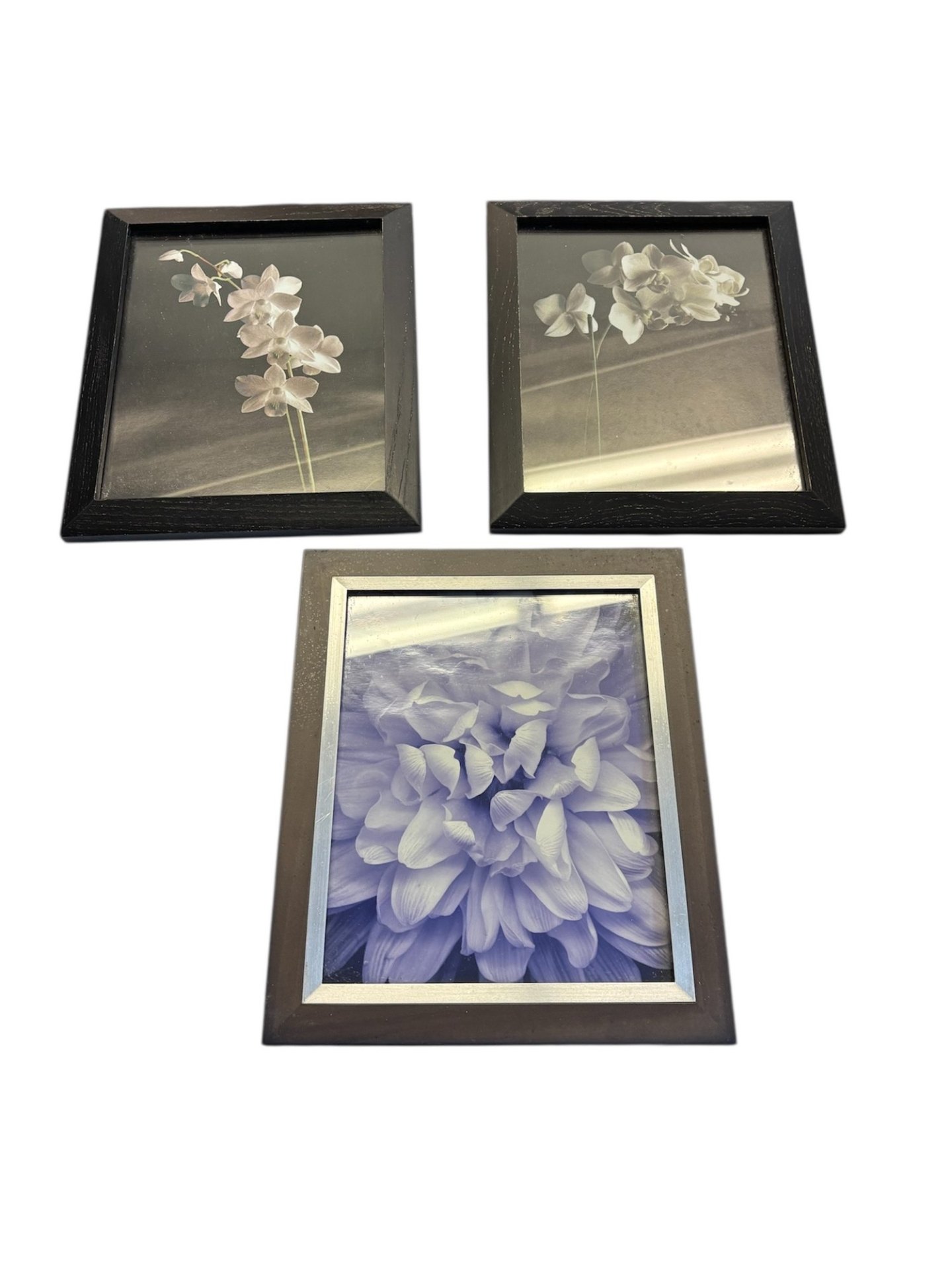 Framed Floral Art Prints – Two Orchid Photographic Prints & One Hydrangea Close-Up (Lot of 3) Description - image 5 of 5