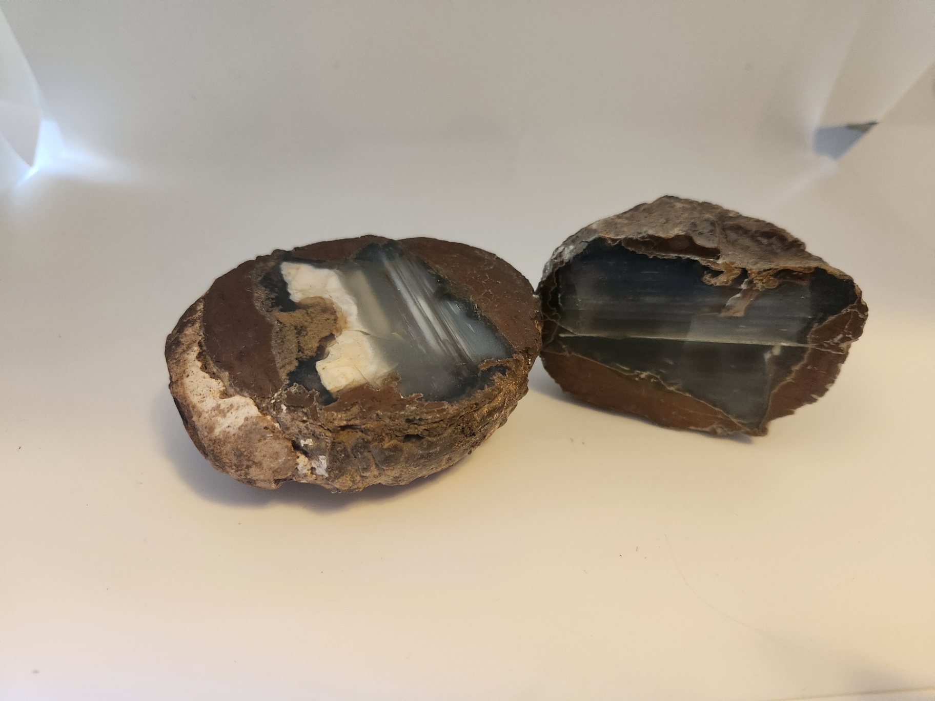 2 pieces of ThunderEgg - Oregon geodes, a nodule-like rock filled with agate formed within volcanic ash layers - image 3 of 11