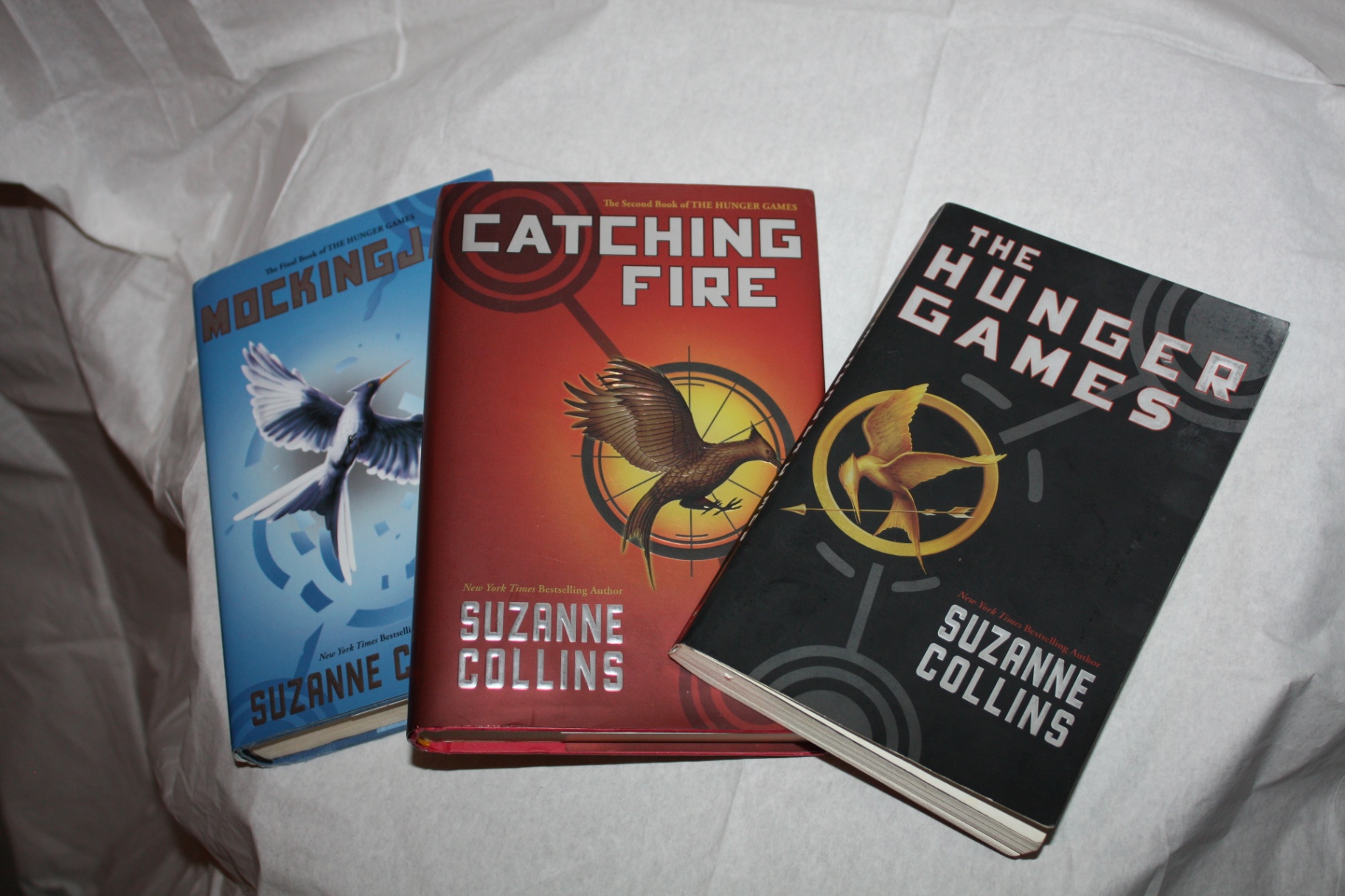 Hunger Games book series - original three books - image 1 of 3