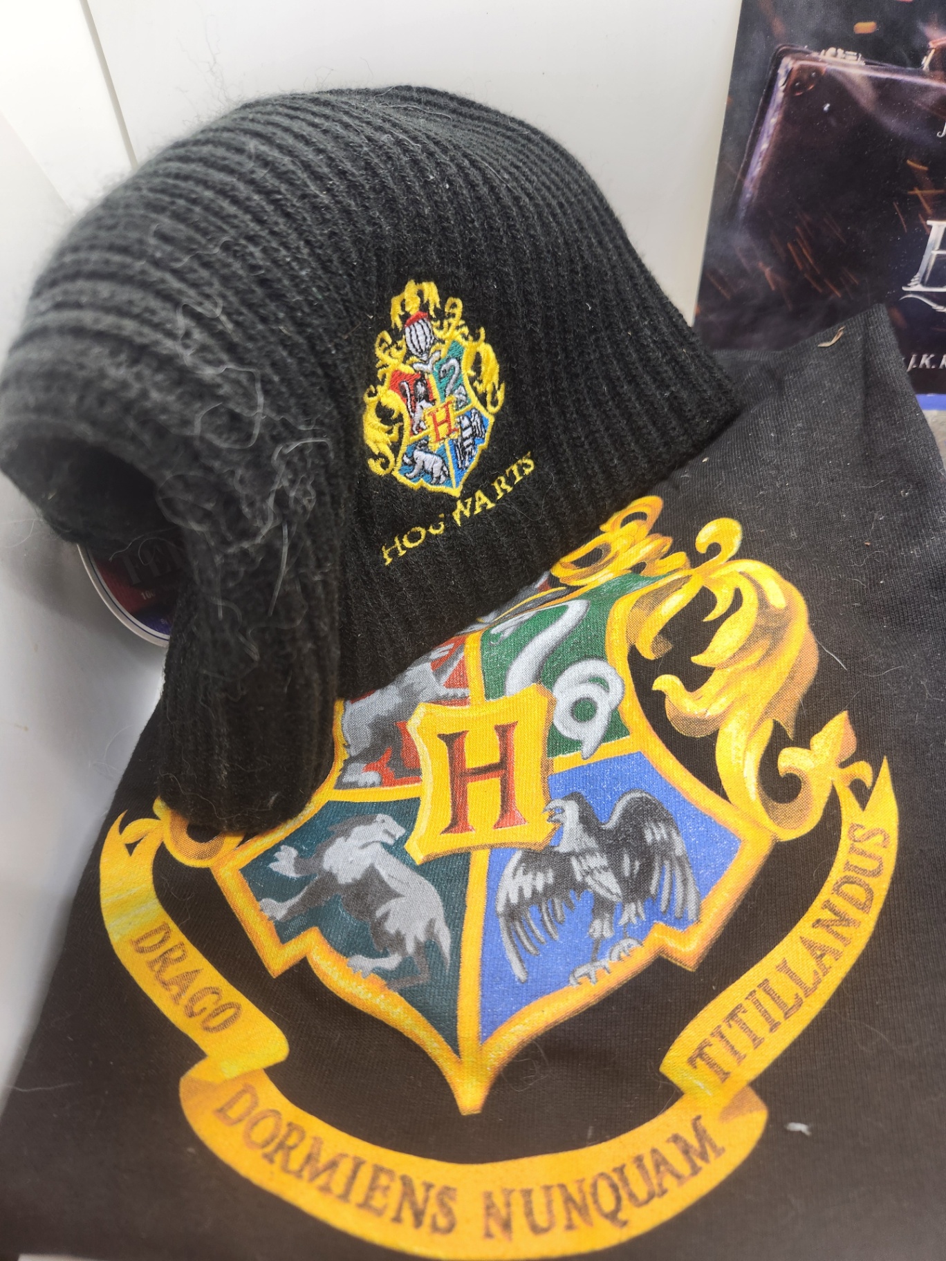 Harry Potter & Fantastic Beasts Fan Bundle - IMAX Poster, Hogwarts Hat and T-Shirt & Guide Book - image 3 of 10