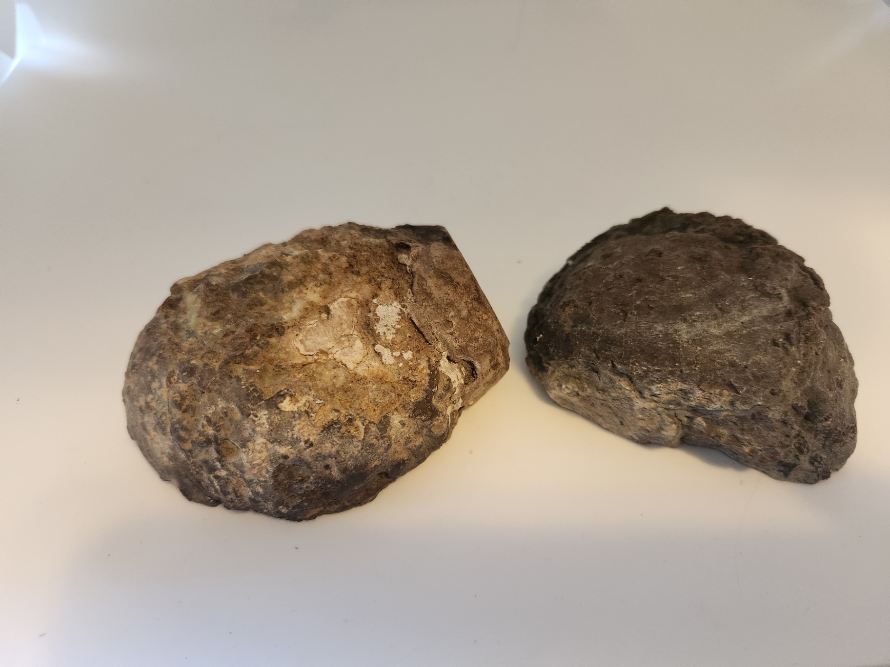 2 pieces of ThunderEgg - Oregon geodes, a nodule-like rock filled with agate formed within volcanic ash layers - image 11 of 11