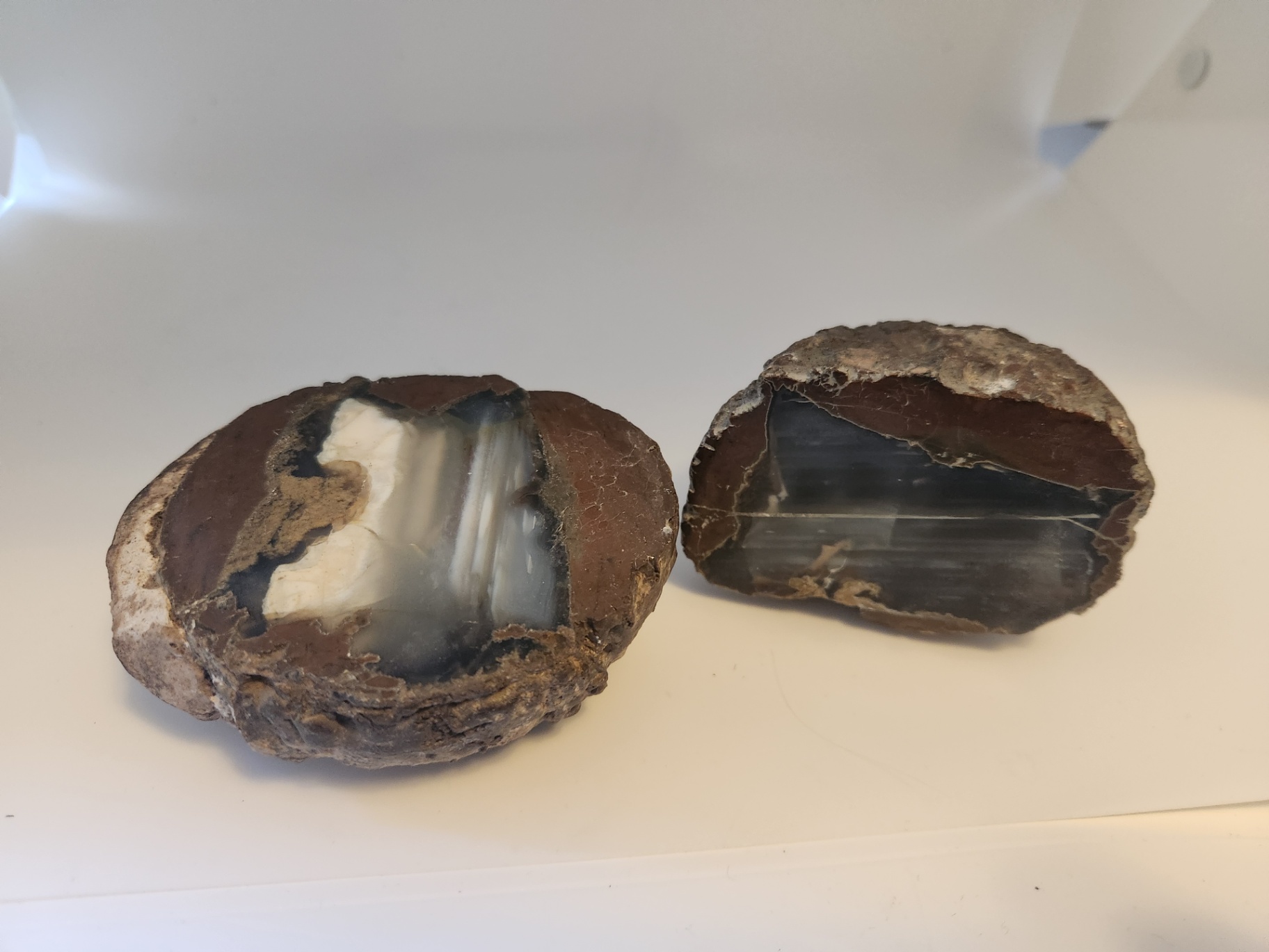 2 pieces of ThunderEgg - Oregon geodes, a nodule-like rock filled with agate formed within volcanic ash layers - image 8 of 11
