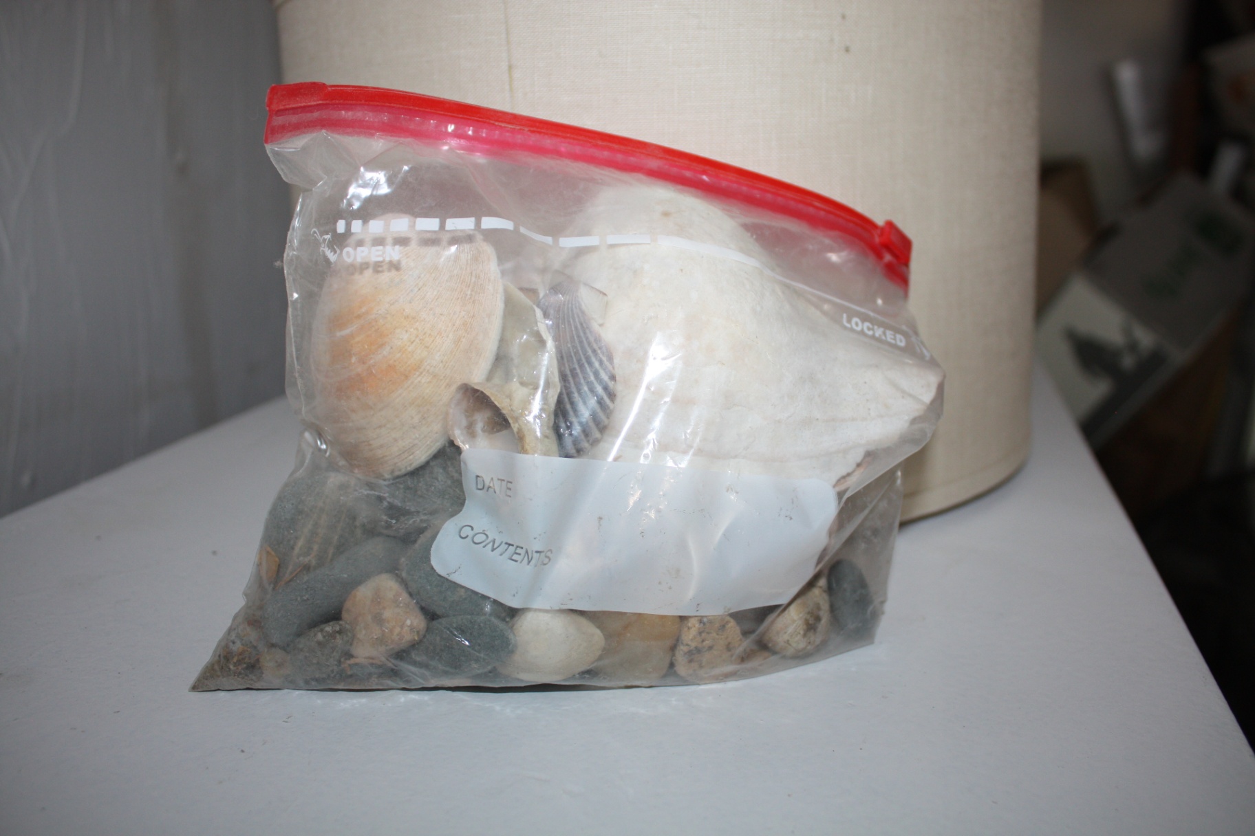 Contemporary Home Decor Trio: Modern Tray, Humor Wall Art, & Natural Ocean Shells - image 5 of 5