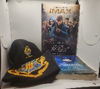 Harry Potter & Fantastic Beasts Fan Bundle - IMAX Poster, Hogwarts Hat and T-Shirt & Guide Book - image 1 of 10