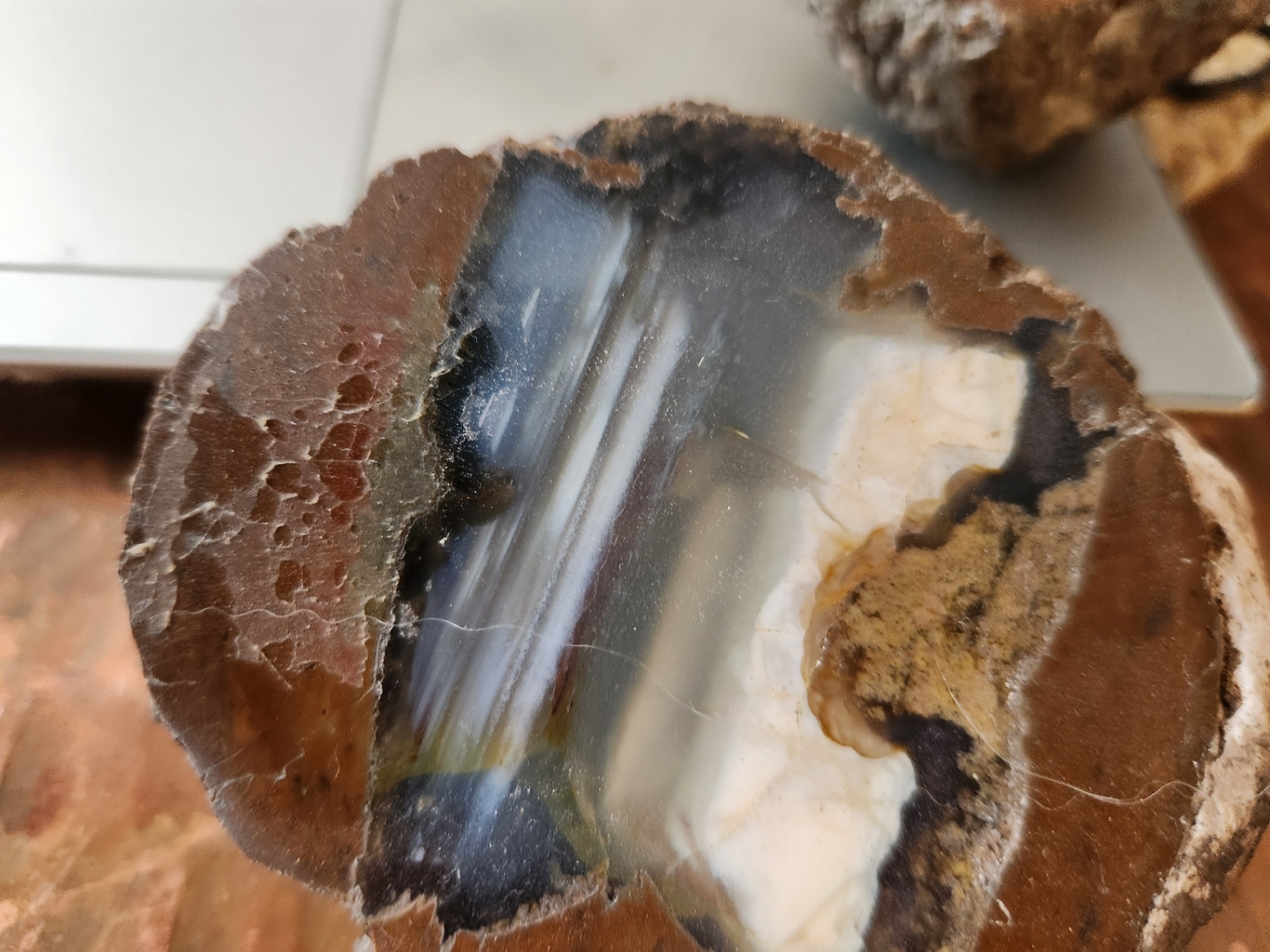 2 pieces of ThunderEgg - Oregon geodes, a nodule-like rock filled with agate formed within volcanic ash layers - image 2 of 11