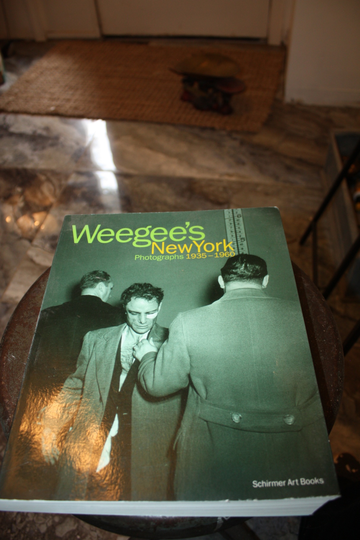 Art & Photography Coffee Table Books (lot of 3): Weegee’s New York, History of Water Color Painting in America, Walt Disney Mickey Mouse Album - image 7 of 7