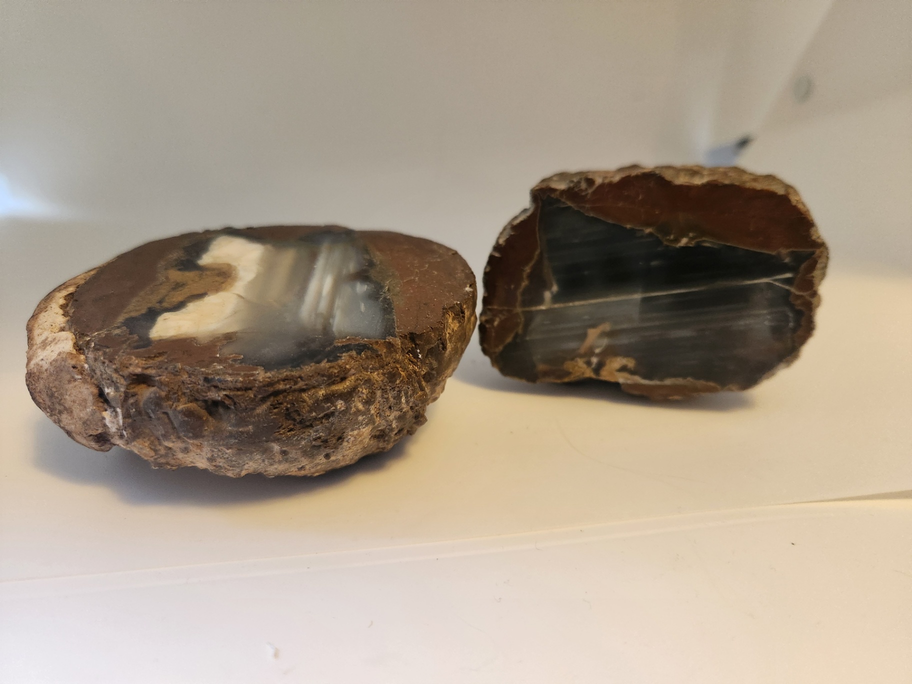 2 pieces of ThunderEgg - Oregon geodes, a nodule-like rock filled with agate formed within volcanic ash layers - image 9 of 11