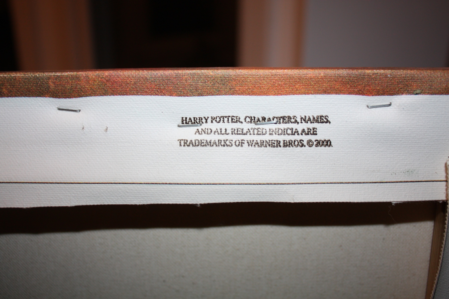 Harry Potter and the Sorcerer’s Stone Large Licensed Canvas Wall Art – Warner Bros ©2001 - image 3 of 5