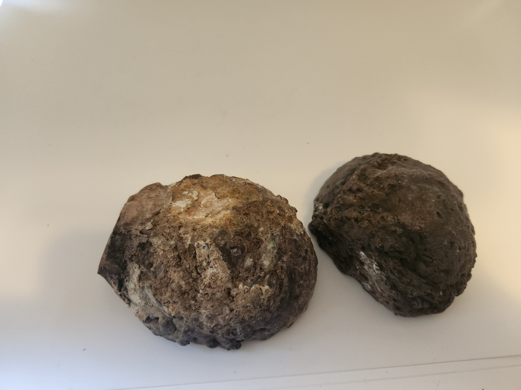 2 pieces of ThunderEgg - Oregon geodes, a nodule-like rock filled with agate formed within volcanic ash layers - image 10 of 11
