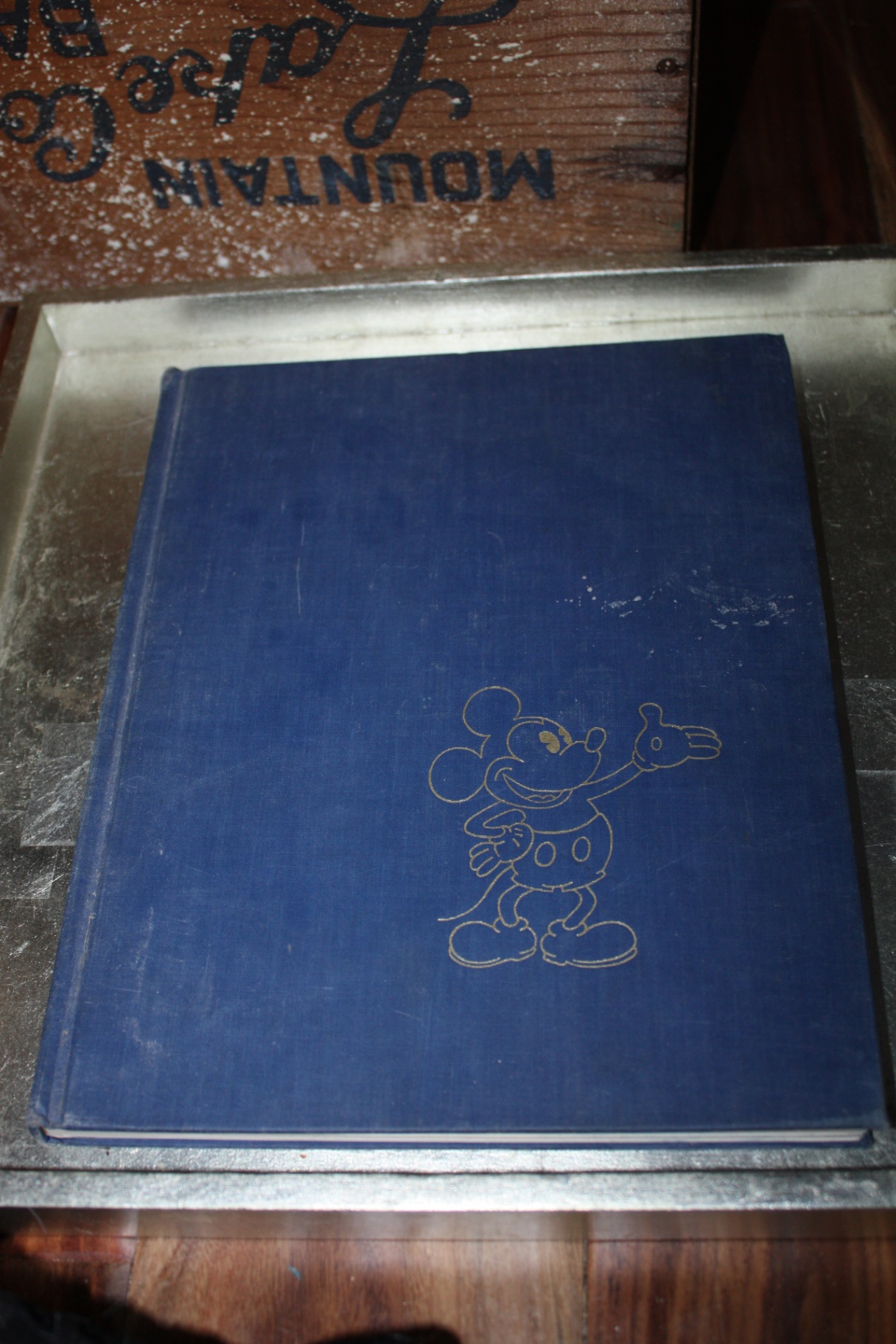 Art & Photography Coffee Table Books (lot of 3): Weegee’s New York, History of Water Color Painting in America, Walt Disney Mickey Mouse Album - image 1 of 7