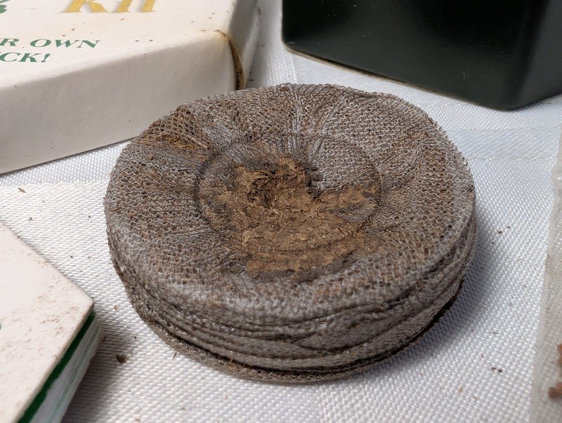 The Four-Leaf Clover Kit - image 8 of 9