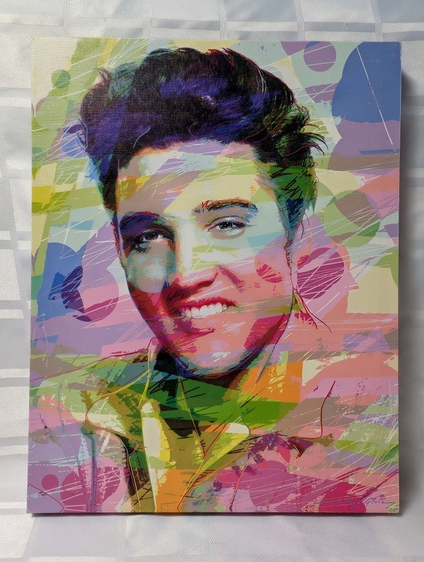 Abstract colorful portrait on canvas elvis - image 1 of 11
