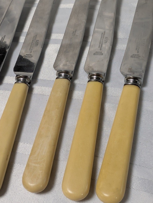 Bone-handled stainless steel knife set - image 7 of 8