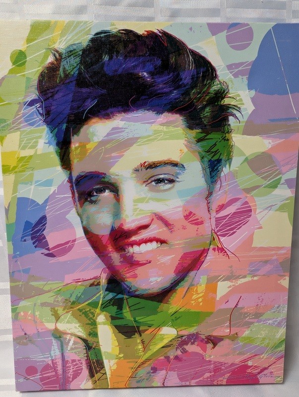 Abstract colorful portrait on canvas elvis - image 4 of 11