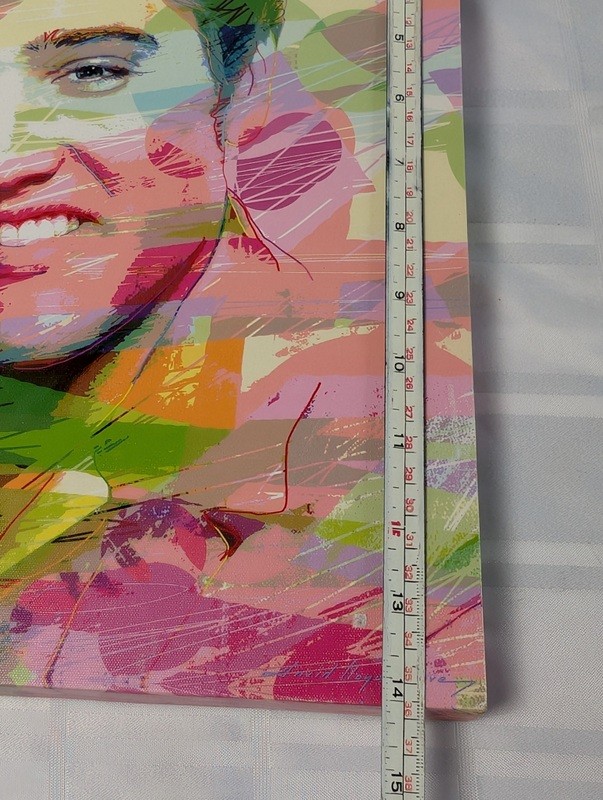 Abstract colorful portrait on canvas elvis - image 10 of 11