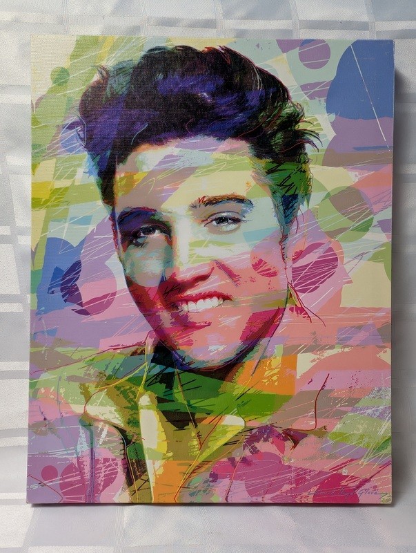Abstract colorful portrait on canvas elvis - image 11 of 11