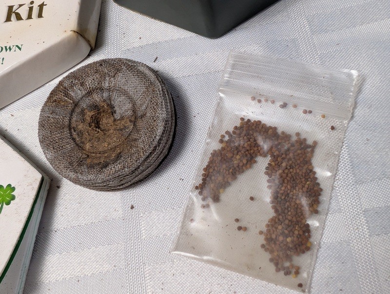 The Four-Leaf Clover Kit - image 7 of 9