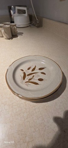 Stoneware Dinnerware Set with Leaf/Wheat Motif - image 6 of 12