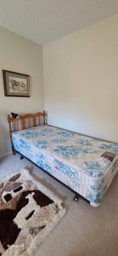 Twin Bed Frames with Box Springs and Mattresses (Set of 2) - image 5 of 5