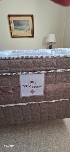 Queen/Full Mattress with Box Spring - image 2 of 3