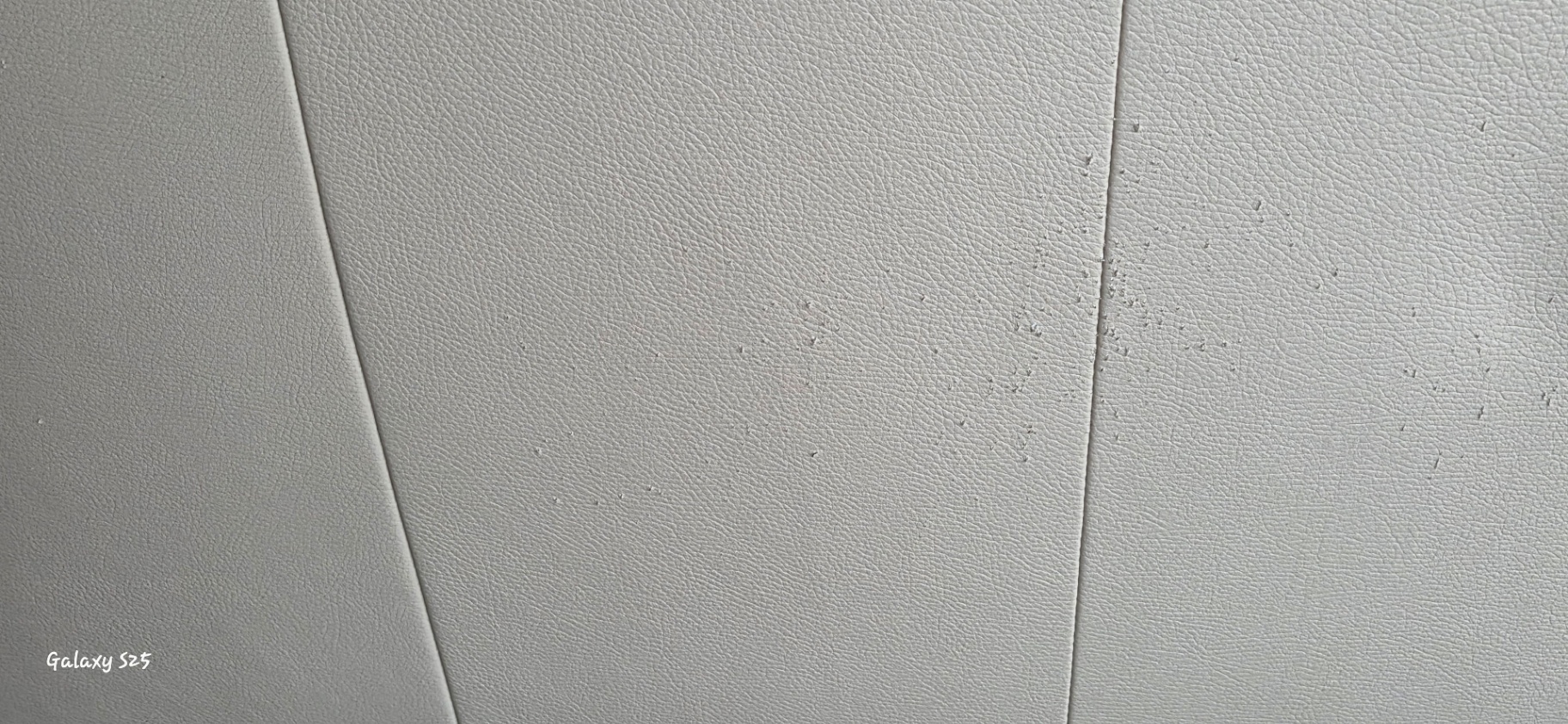 Leather Loveseat – Taupe/Cream - image 4 of 5