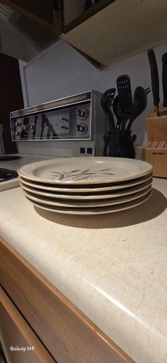 Stoneware Dinnerware Set with Leaf/Wheat Motif - image 9 of 12
