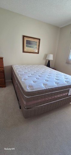 Queen/Full Mattress with Box Spring - image 1 of 3