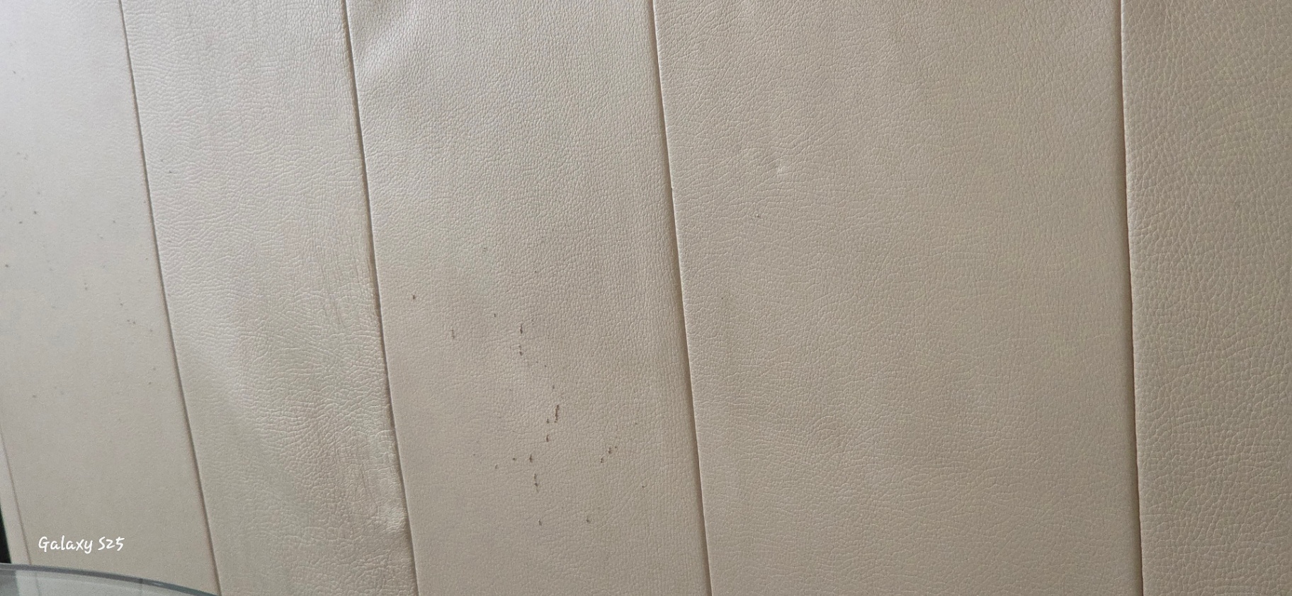 Leather Sofa – Taupe/Cream - image 4 of 4