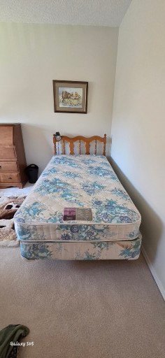 Twin Bed Frames with Box Springs and Mattresses (Set of 2) - image 4 of 5