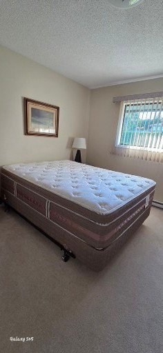 Queen/Full Mattress with Box Spring - image 3 of 3