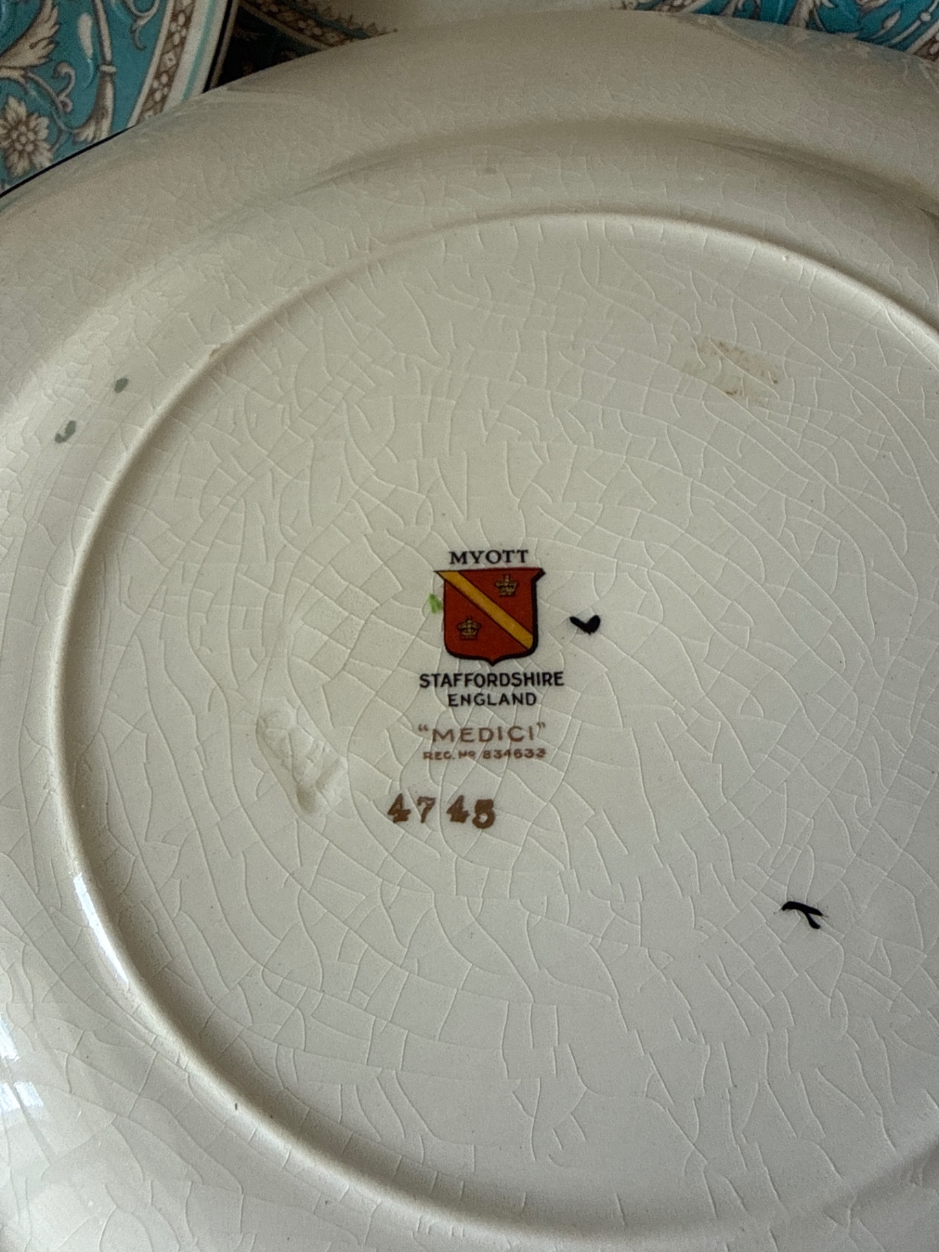 Set of Myott Medici Staffordshire dinner plates with teal border - image 3 of 3