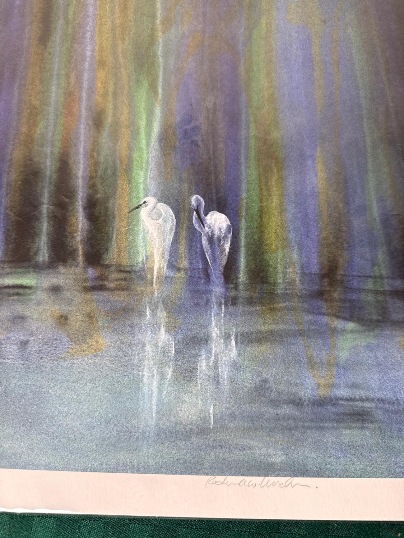 Two Herons in a Colorful Wetland - image 2 of 5