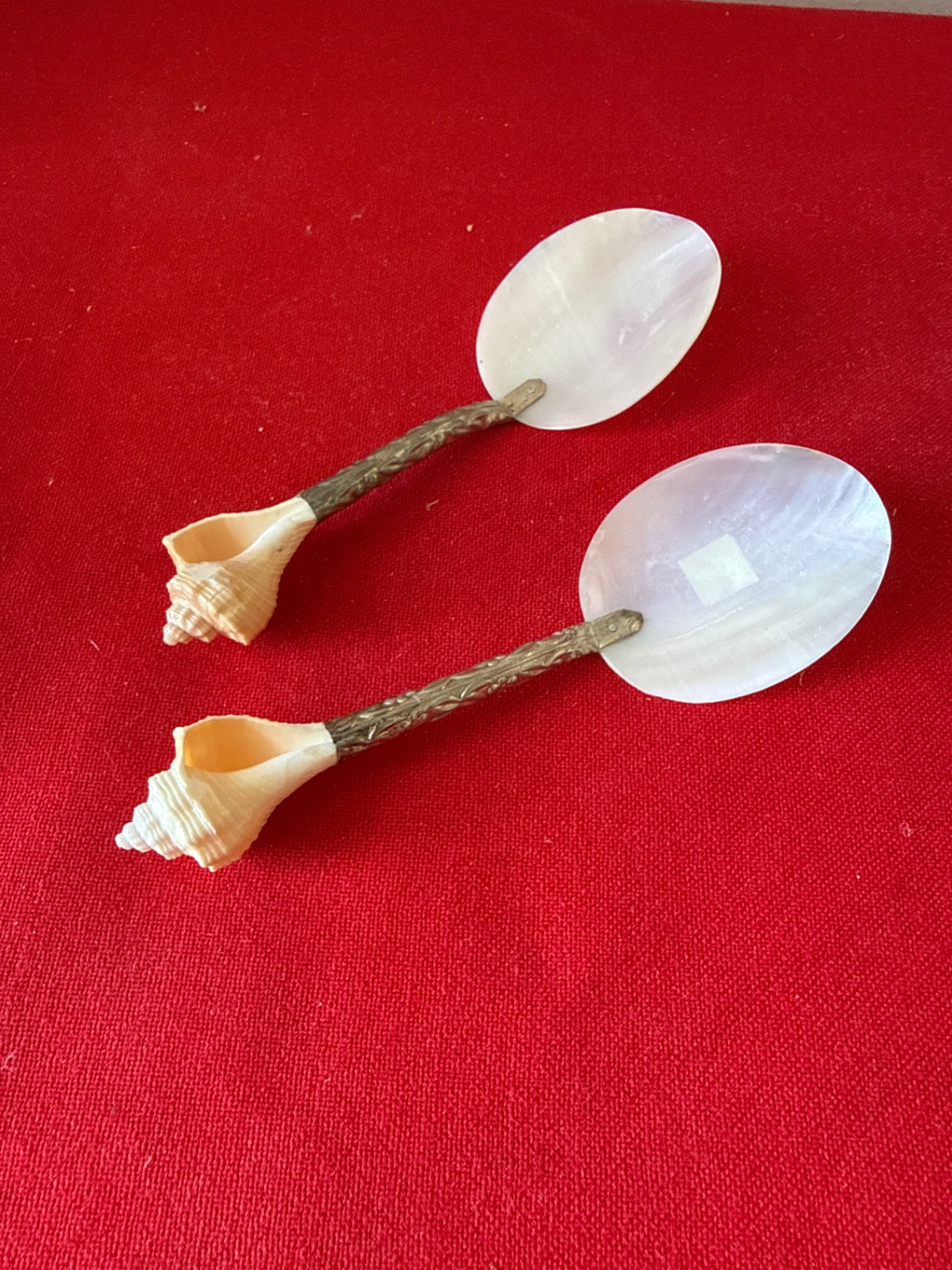 Mother of Pearl and conch  - image 1 of 3