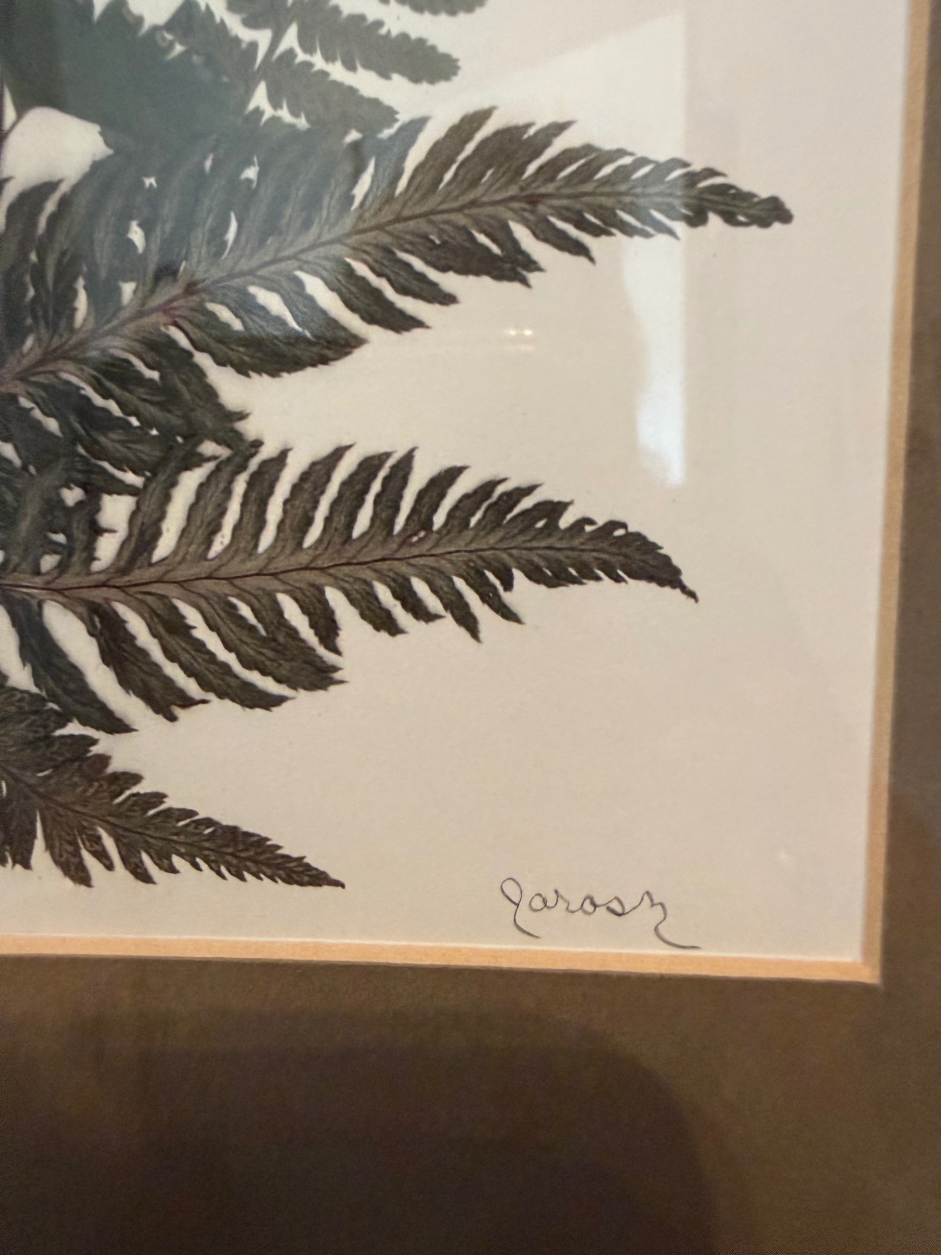 Framed Fern Botanical Print - image 2 of 2